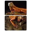 Cold-Blooded Collectibles Red Iguana Statue Sculpture